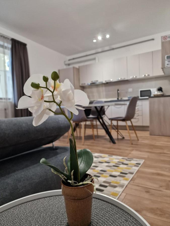 דרובטה-טורנו-סברין Vic Apartament מראה חיצוני תמונה