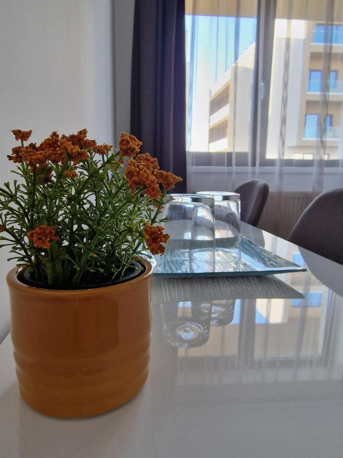 דרובטה-טורנו-סברין Vic Apartament מראה חיצוני תמונה